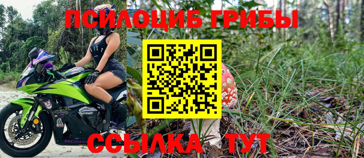 Псилоцибиновые грибы прущие грибы  Псилоцибиновые грибы Magic Shrooms  Вход с VPN  Мурино 