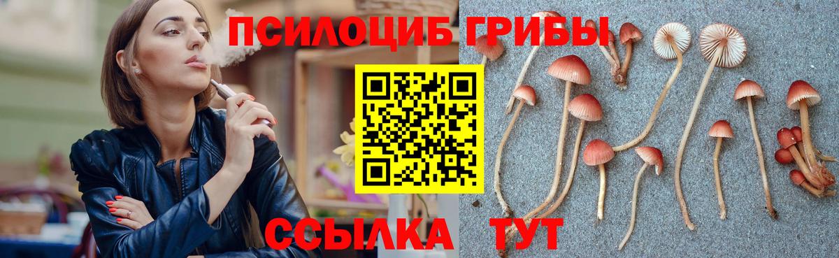 Псилоцибиновые грибы Psilocybine cubensis Мурино